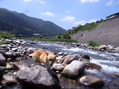 f0135908_16104073.jpg