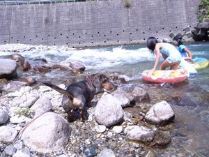 f0135908_16234872.jpg