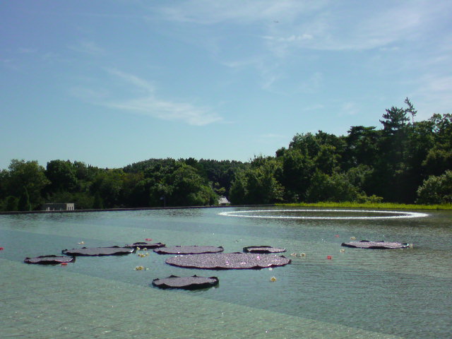 b0044209_1583835.jpg