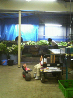 f0031013_22364228.jpg