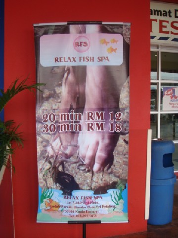 c0145615_2347169.jpg