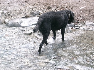 d0063615_194523100.jpg