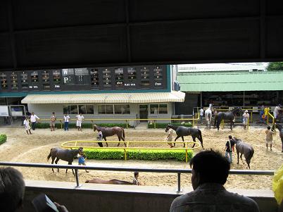 e0019117_21444861.jpg