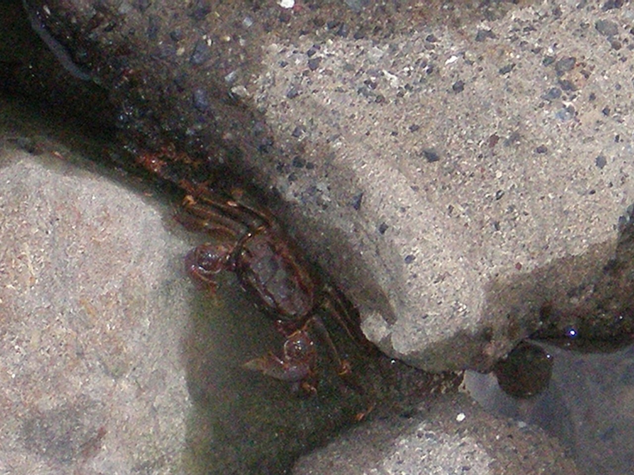 b0144519_2256288.jpg