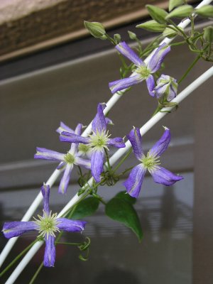 b0031925_8432799.jpg