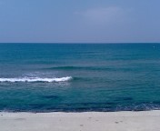f0146828_0331633.jpg