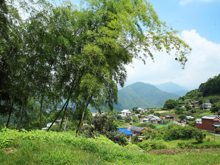 d0147530_8561166.jpg