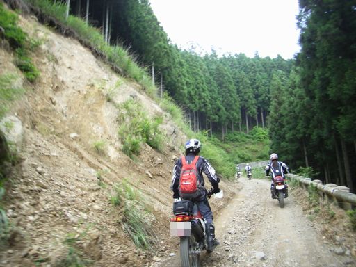 e0063632_1553578.jpg