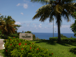 e0103535_218847.jpg