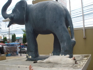 f0001835_16111567.jpg