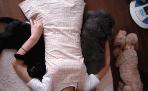 c0136736_1617526.gif