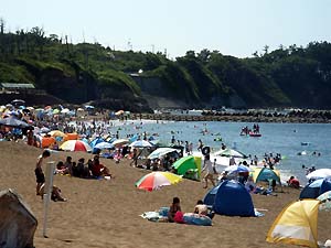 c0019338_81491.jpg