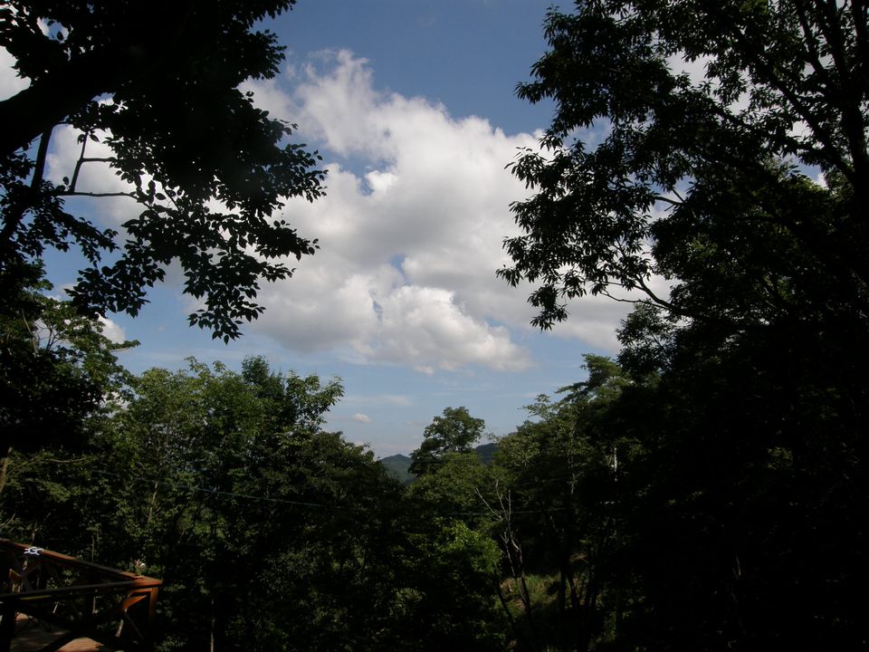 f0090444_21374974.jpg