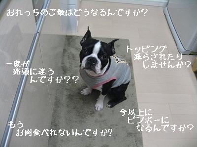 e0126046_0134147.jpg
