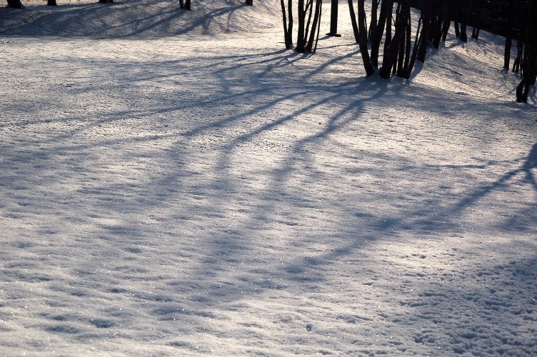 e0009147_1830374.jpg