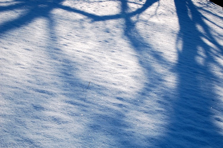 e0009147_18309100.jpg