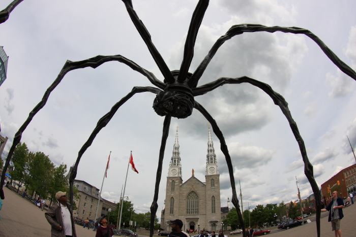 c0112158_684926.jpg