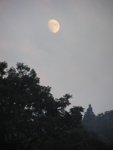 d0084765_2395625.jpg