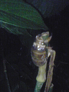 e0136066_2351558.jpg