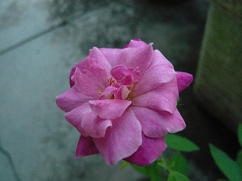 f0037467_2121121.jpg