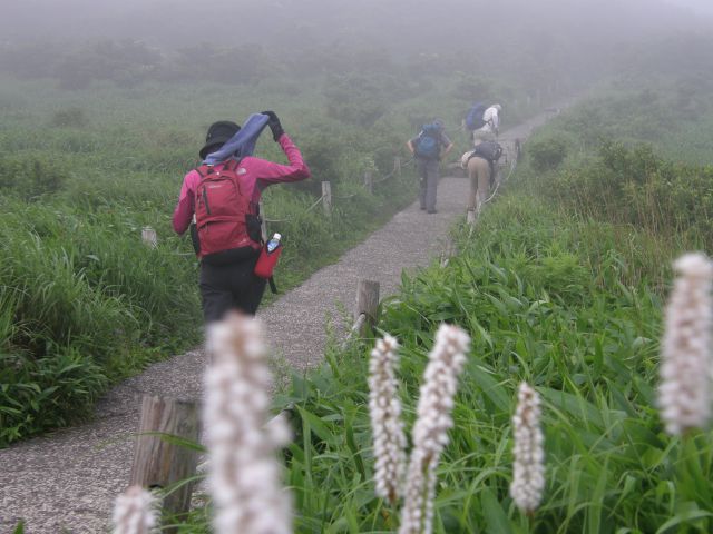 c0042869_20294319.jpg