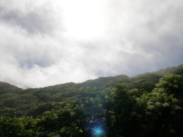 c0042869_20534116.jpg