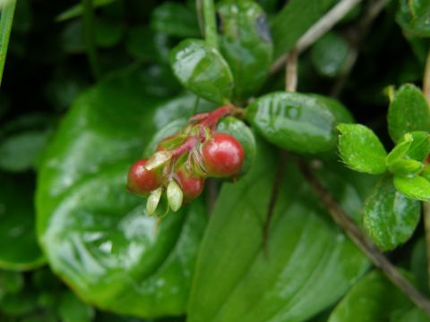 c0042869_21162663.jpg