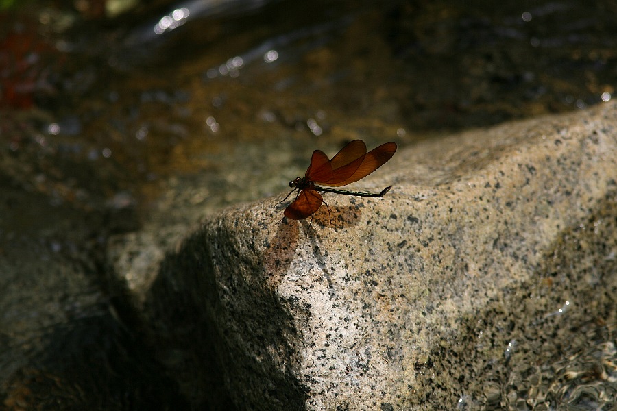 b0084270_0143454.jpg