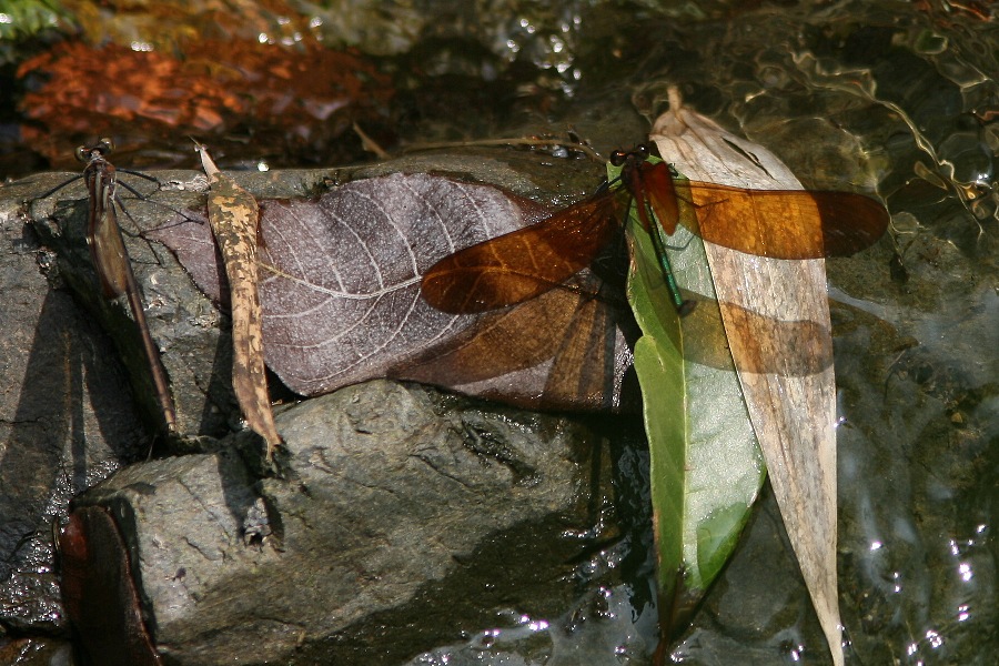 b0084270_014530.jpg