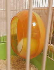 c0160473_11102324.jpg