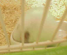 c0160473_11105618.jpg