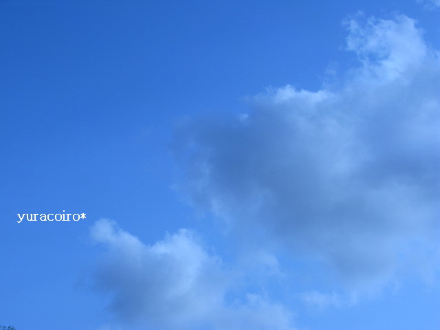 b0140877_14342144.jpg
