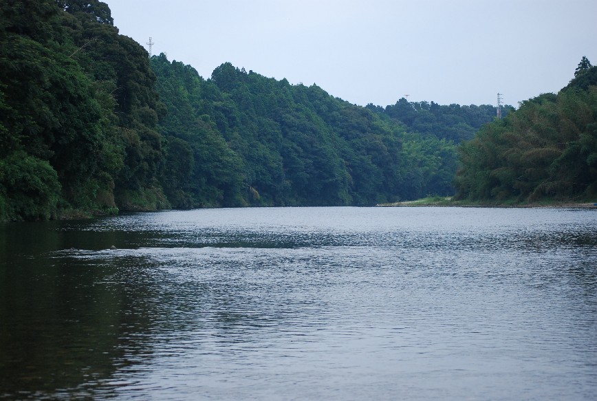 b0074782_2014524.jpg