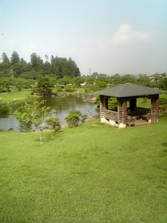 c0096582_0431246.jpg