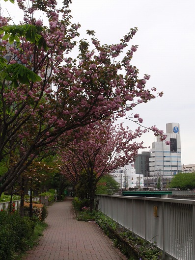 c0105785_8305323.jpg