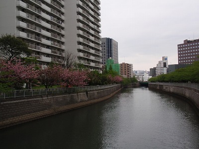 c0105785_83749.jpg