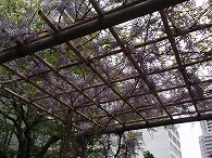 c0105785_9151823.jpg