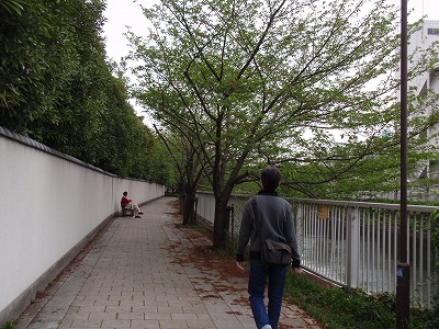 c0105785_924271.jpg