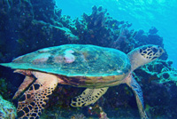 c0018489_23574027.jpg