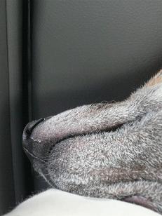 c0123890_2140830.jpg