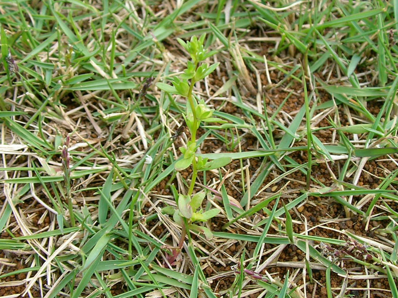 e0056592_6134468.jpg