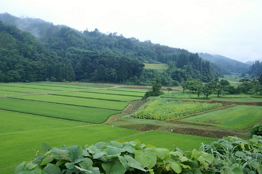 f0064192_6184774.jpg