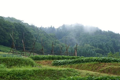 f0064192_6511167.jpg