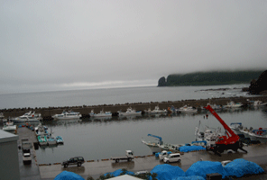 b0032694_81262.gif