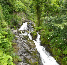 b0032694_8165031.gif