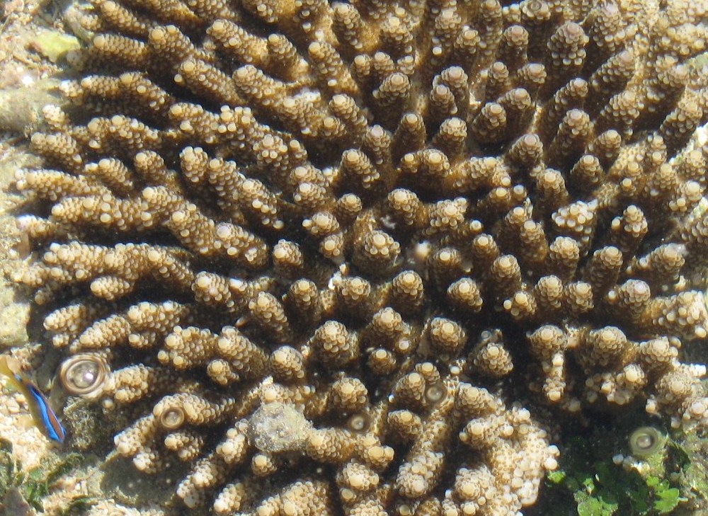 b0146794_2339477.jpg