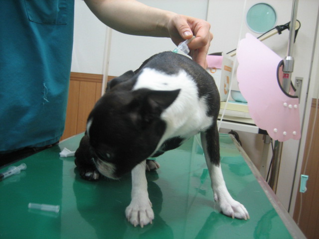 b0136300_2130431.jpg