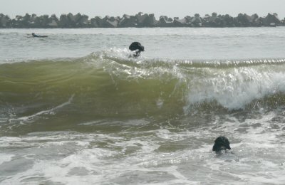 c0050400_004045.jpg