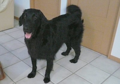 c0050400_1133575.jpg