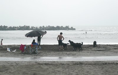 c0050400_9442750.jpg